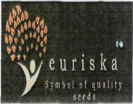 Euriska Symbol Of Quality Seeds (device) Device mark 2227346 Trademark