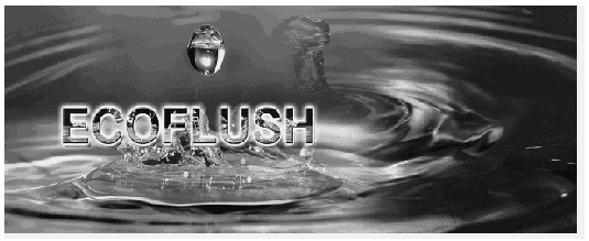 Ecoflush Device mark 2411010 Trademark