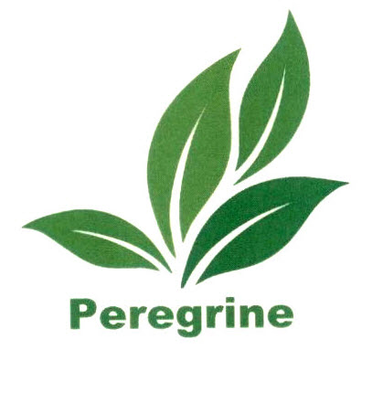 Peregrine Device mark 2724843 Trademark