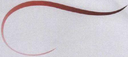 Device Mark Device mark 1714534 Trademark