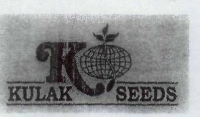 K Device mark 1828081 Trademark