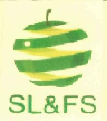 Sl&fs Device mark 2966633 Trademark