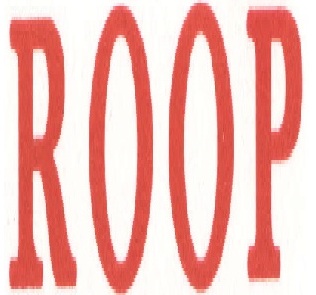 Roop Device mark 2918837 Trademark