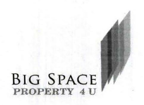 Big Space Device mark 2053033 Trademark