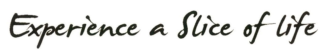 Experience A Slice Of Life Device mark 2604790 Trademark