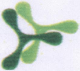 Logo Device mark 2135348 Trademark