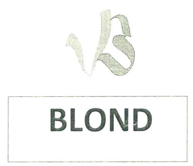 Blond Device mark 2978185 Trademark