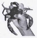 Hand With Crab Device mark 1868980 Trademark