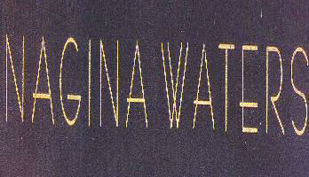 Nagina Waters With Label Device mark 1688202 Trademark