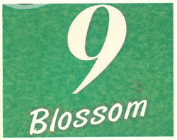 9 Blossom Device mark 2656286 Trademark