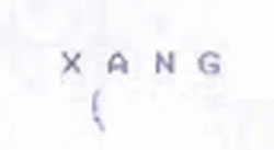 X A N G Device mark 954204 Trademark