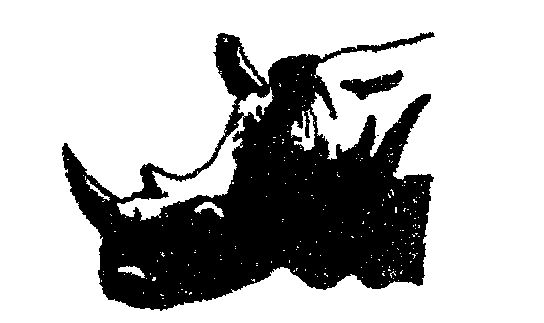 Device Device mark 562666 Trademark