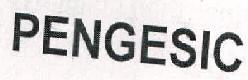 Pengesic Device mark 2335511 Trademark
