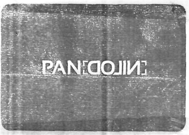 Pan Nilod (label) Device mark 2271787 Trademark