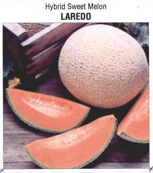 Laredo (device Of Hybrid Sweet Melon) Device mark 1593321 Trademark