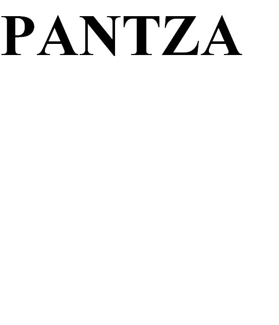 Pantza Device mark 2616370 Trademark