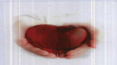 Logo With Devicw Device mark 2067135 Trademark