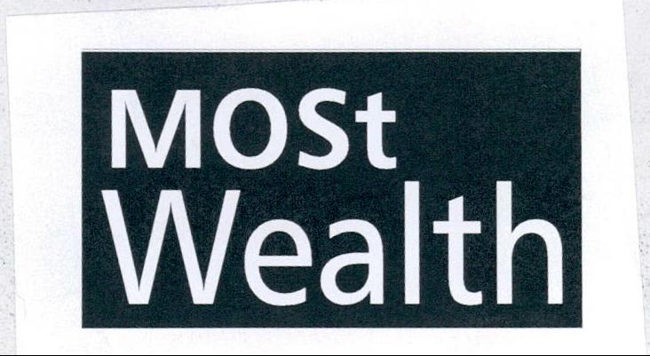 Most Wealth Device mark 2069992 Trademark