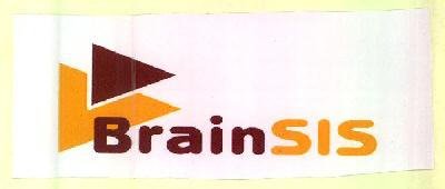 Brainsis Device mark 2758898 Trademark