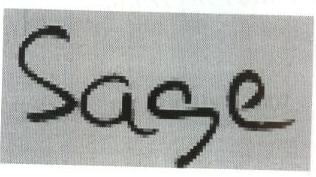 Sase Device mark 1646003 Trademark