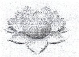 (device Of Flower) Device mark 1553567 Trademark