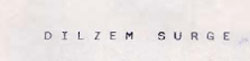 Dilzem Surge Device mark 895643 Trademark