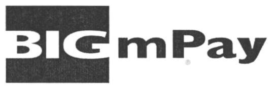 Bigmpay Device mark 1659399 Trademark