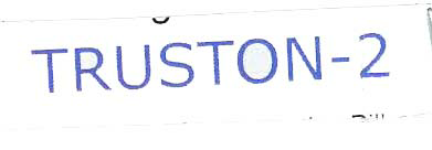 Truston - 2 Device mark 1761664 Trademark