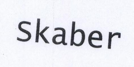 Skaber Device mark 1795029 Trademark
