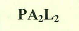 Pa2l2 Device mark 2573111 Trademark