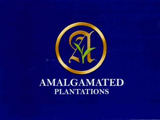 Amalgamated Plantations(device) Device mark 2894301 Trademark