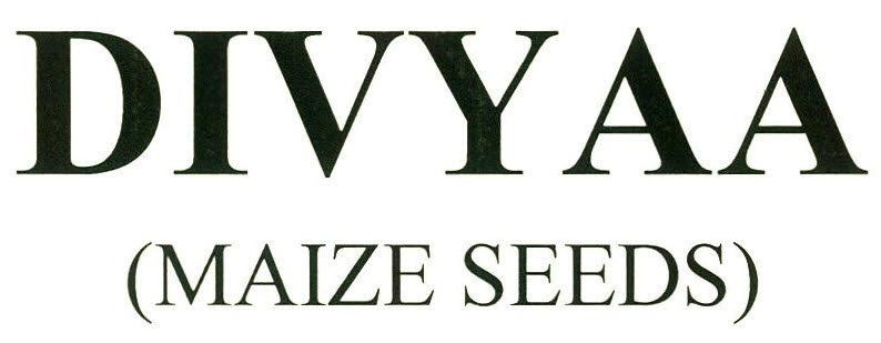 Divyaa (maize Seeds) Device mark 2605096 Trademark