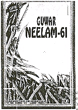 Guwar Neelam-61 (label) Device mark 1677140 Trademark