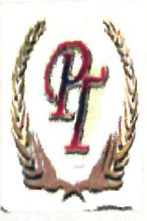 Pt (label) Device mark 2289502 Trademark