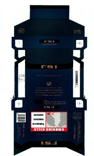 Fs1 (label) Device mark 2321993 Trademark