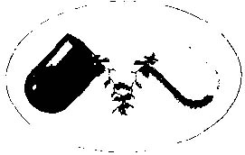 Capsul With Leaf (device) Device mark 866393 Trademark