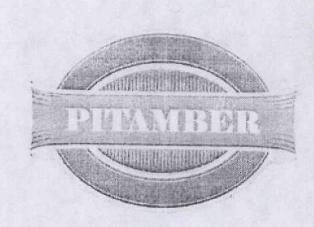 Pitamber Device mark 1819128 Trademark