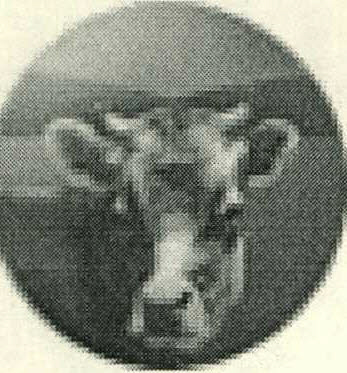 Label Device mark 1412893 Trademark