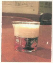 Device Device mark 2877808 Trademark