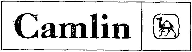 Camlin Device mark 1304399 Trademark