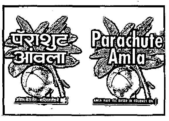 Parachute Amla (label) Device mark 685154 Trademark