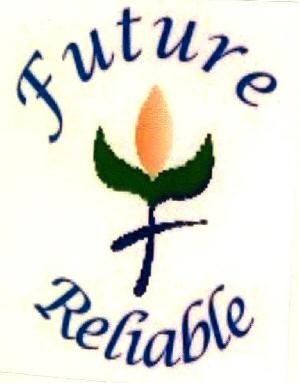 Future Reliable Device mark 2620245 Trademark