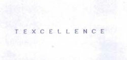Texcellence Device mark 946206 Trademark