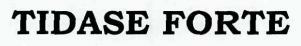 Tidase Forte Device mark 2371222 Trademark