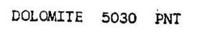 Dolomite 5030 Pnt Device mark 707229 Trademark