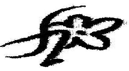 Flower Device mark 2043472 Trademark