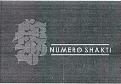 Numero Shakti Device mark 2611745 Trademark