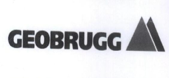 Geobrugg With Device. Device mark 1630035 Trademark