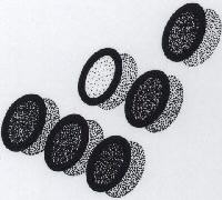 Logo Design Device mark 1481117 Trademark