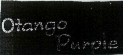 Otango Purple Device mark 1922797 Trademark